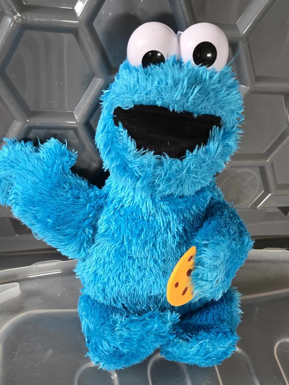 Cookie Monster Toy with Sound
